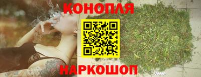 крисы Рыбинск