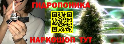 шишки Рязань