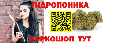 крисы Рыбинск