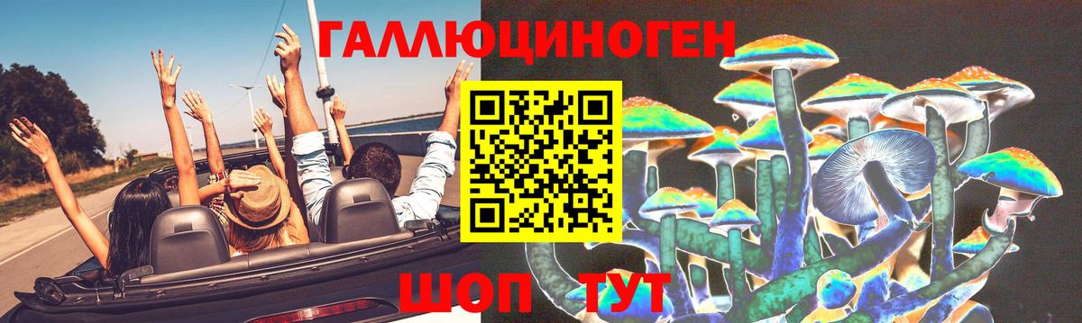 Псилоцибиновые грибы ЛСД Родники